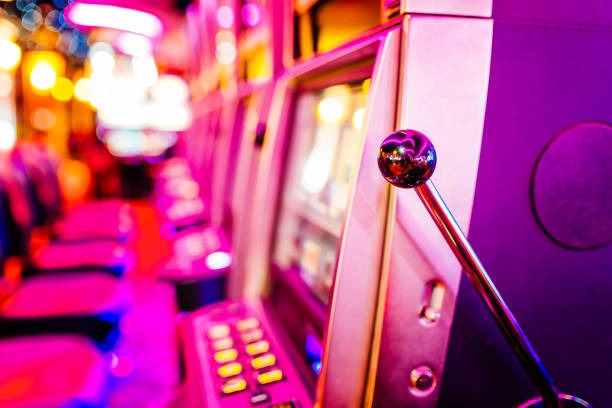 karatetoto live dealer studio schedule view